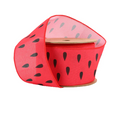 2 1/2" Wired Ribbon | Watermelon Seeds | 10 Yard Roll